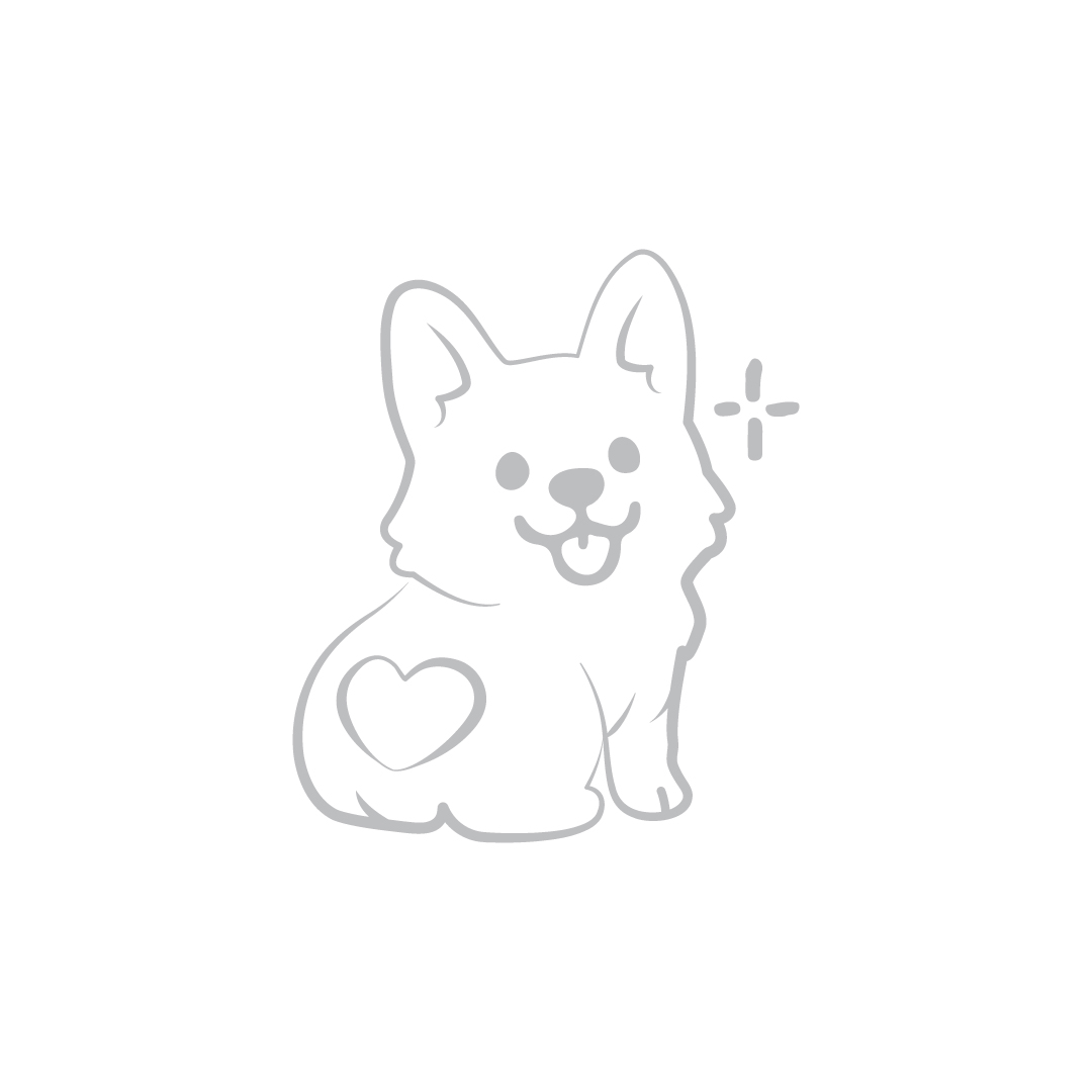 (pre-order 14 days) SX-HA [Laser Corgi]