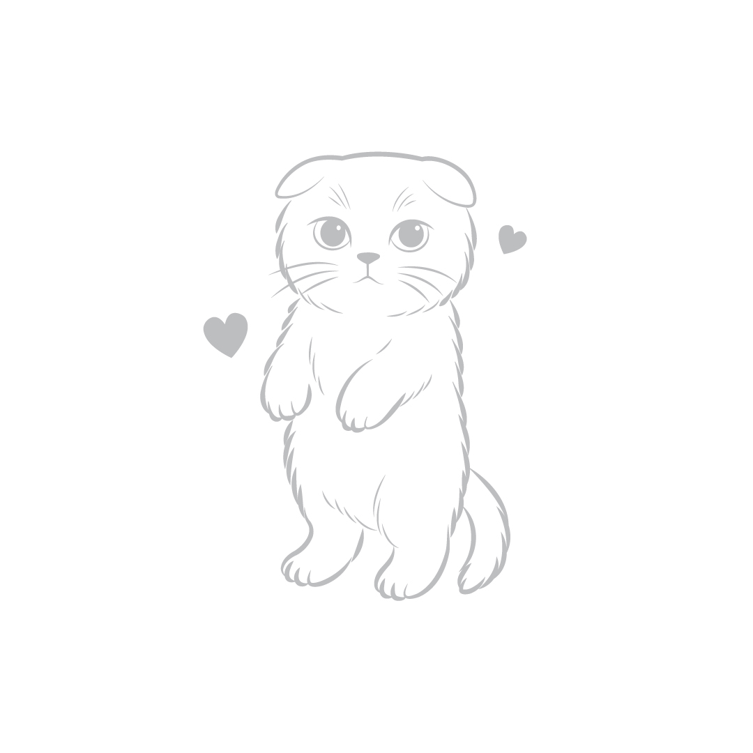 (pre-order 14 days) SX-HA [Laser Scottish fold]