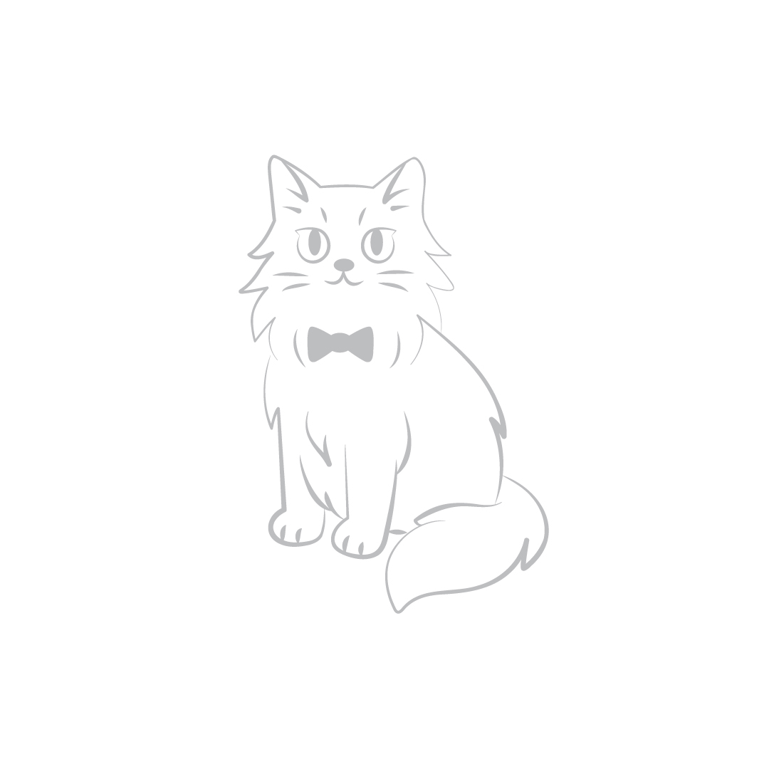 (pre-order 14 days) SM-VH [Laser Maine Coon]