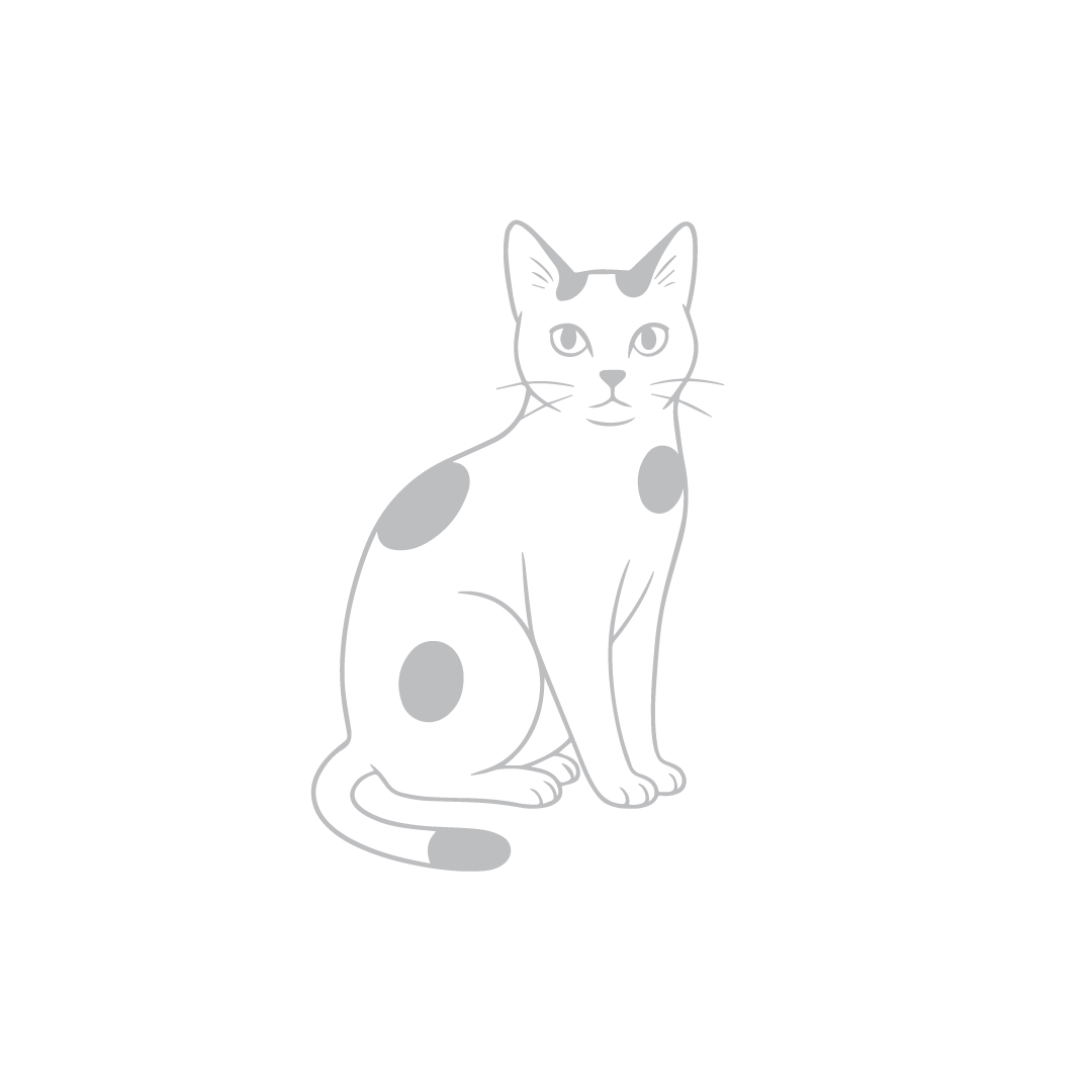 (pre-order 14 days) SX-HA [Laser Siamese Cat]
